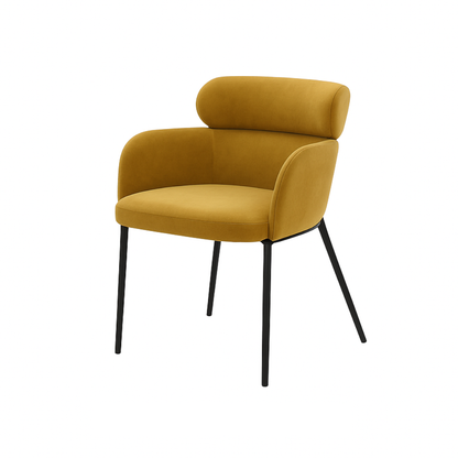 Scaun catifea ROZ | model LENY